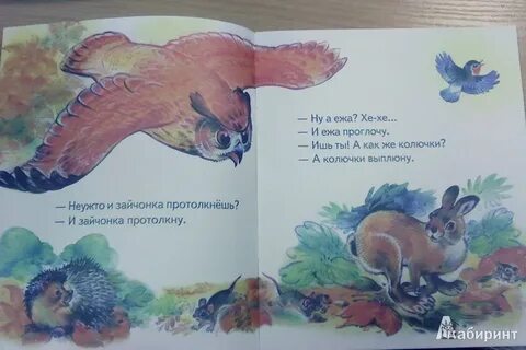 Лесной календарь читать