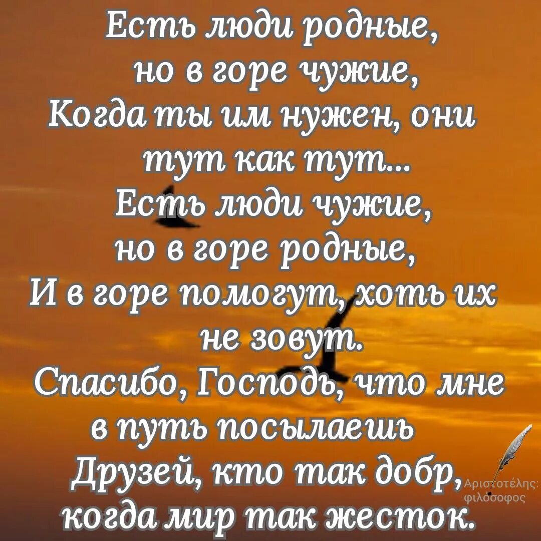 Может быть в чужие края. Цитаты про родственников. Высказывания про родню. Стихи про родственников. Цитаты про родню.