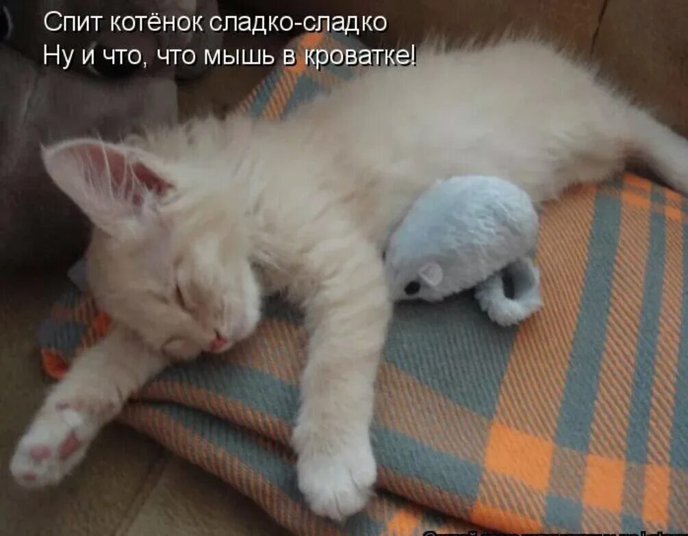 Как спала то