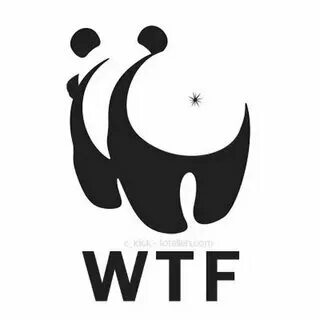 Wtf da. Wtf da