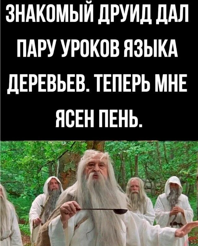 Я конфетка. Хахаски. Ссора высказывания. Сидит на скамейке. Знакомы друид дал мне пару уроков.