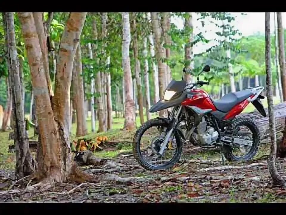 Ктм ехс 300. Чин чин 200 эндуро. Ктм ехс 300. Yamaha xtz 250. Маленькие эндуро мотоциклы.