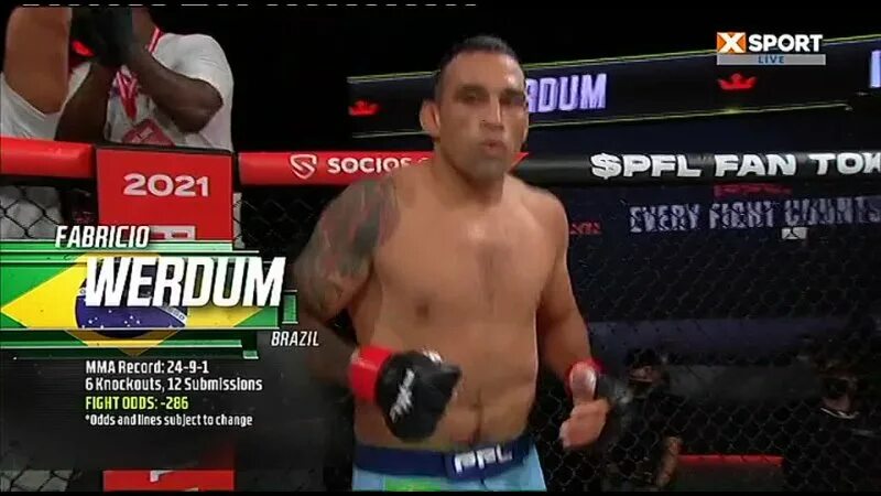 Фабрисио Вердум Ренан Феррейра. Фабрисио Вердум 2023. Fabricio Werdum Grappling. Ренан Феррейра размах рук.