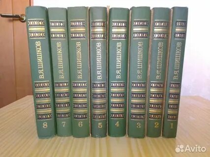 Шишков 8