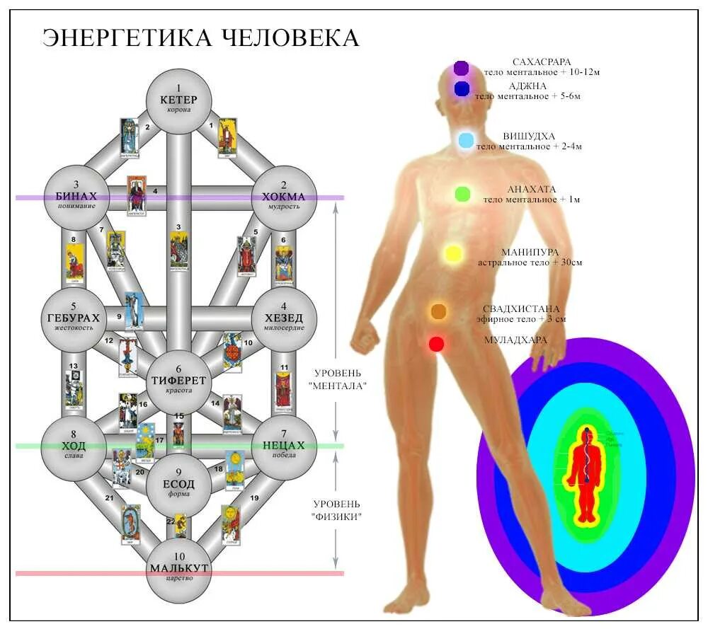 Энергетическая структура человека. Схема тела. Движение энергии в теле человека схема. Энергетические центры человека схема.