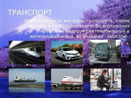 Виды транспорта в развитых странах