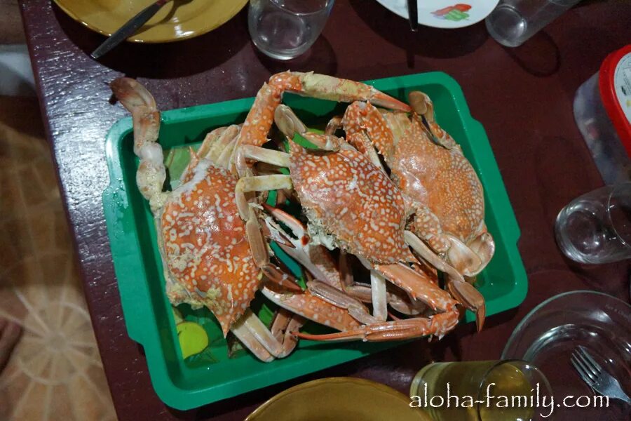 крабовые палочки халяль. можно ли кушать краба мусульманам. краб халяль или харам для мусульман. краб халяль или нет. пальмовый краб.