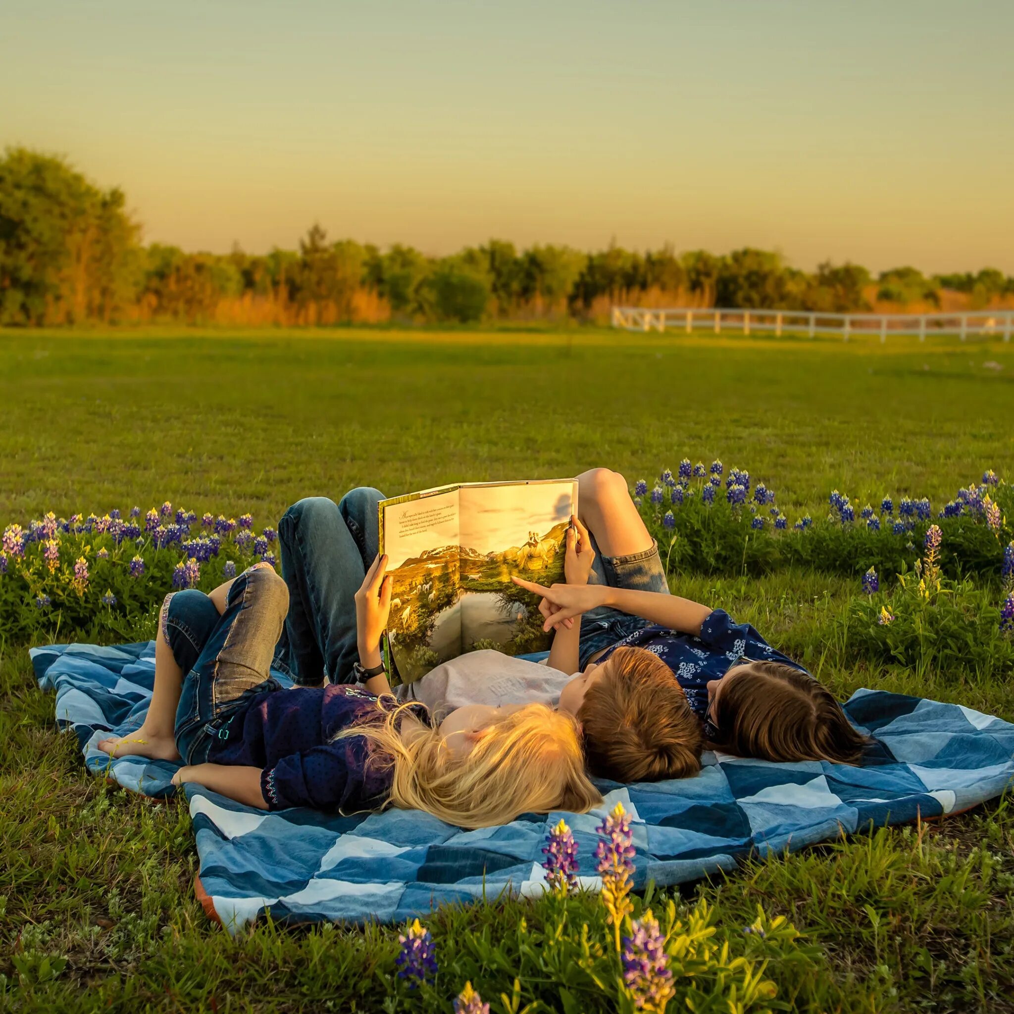 Люди отдыхают на природе. Пикник на траве. Отдыхающие на траве. Плед на природе.