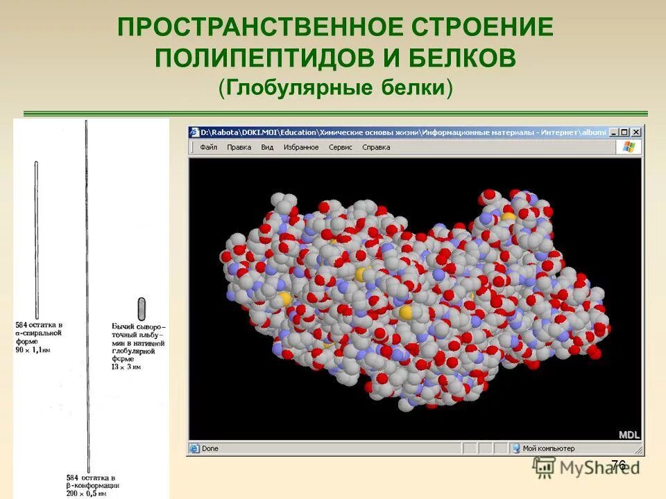 Нарушение пространственной структуры белков. Нарушение пространственной структуры белков. Пространственное строение белков. Нарушение пространственной структуры белков. Водородные связи во вторичной структуре белка.