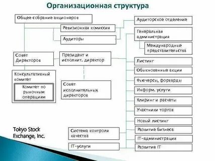Ревизионная комиссия общее собрание акционеров