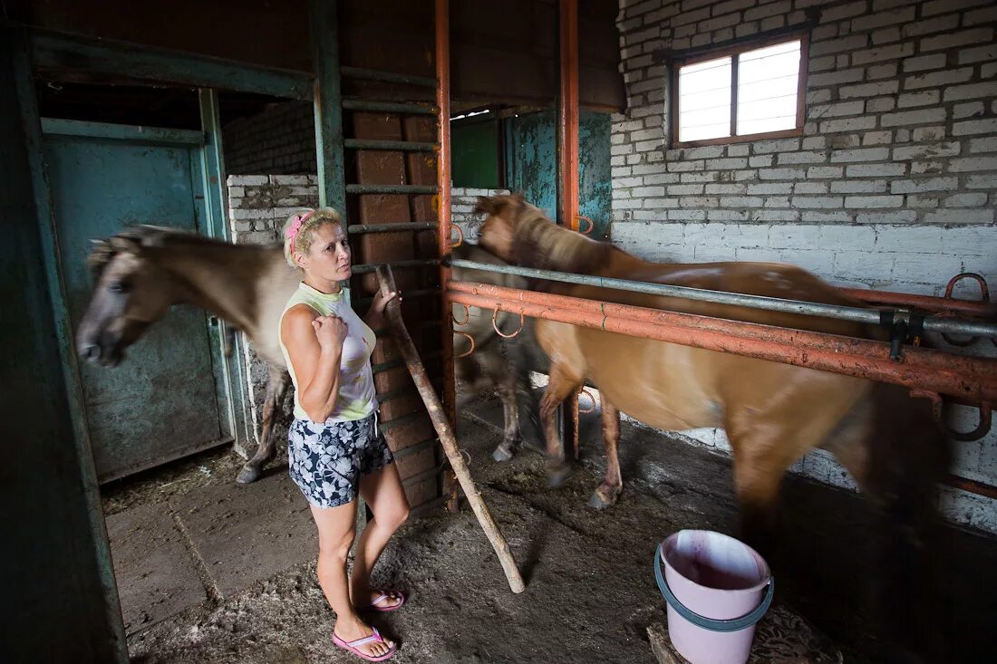Кобылье молоко. Национальные блюда башкирии кумыс. Добыча кумыса. Приготовление кумыса. Лошадиное молоко название.