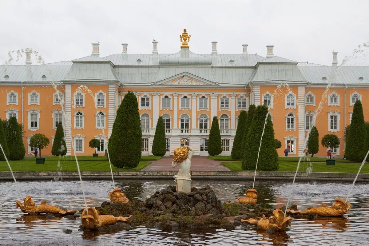 Пункт петергоф. Пункт петергоф
