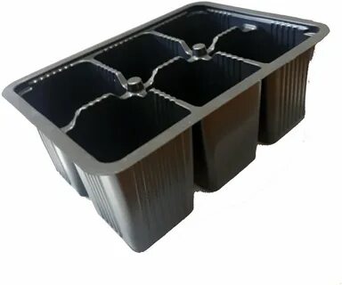 Рассада оптом от производителя