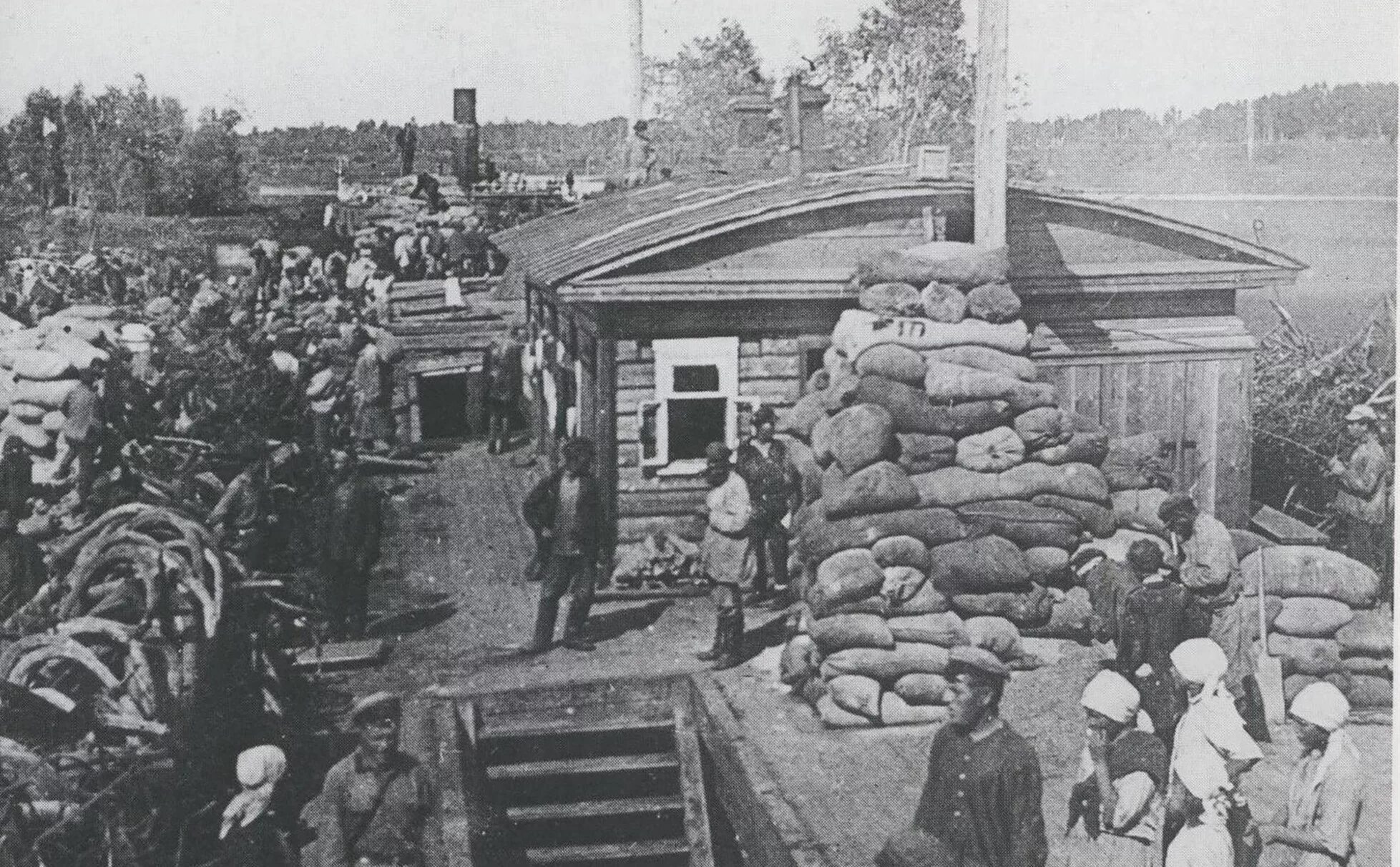 Немцы поволжья в сибири. 1930 нарымский край спецпереселенцы. нарымский край спецпоселенцы 30-е годы. поволжские немцы депортация в сибирь. сибирь 1930.