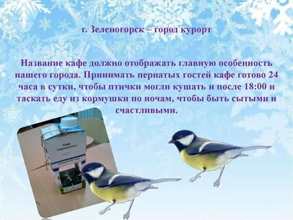 Пернатые гости 3 класс