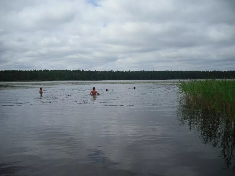 Озеро Западное, как и другие водоемы в Южском районе, переживает наплыв отдыхающ