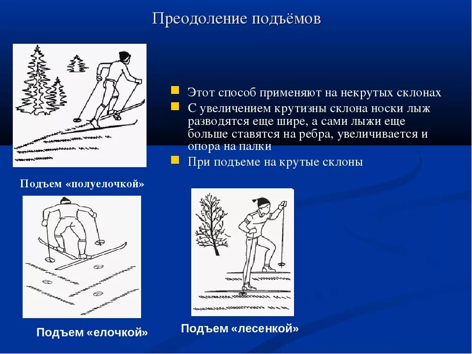 Преодоление подъемов на лыжах. Преодоление подъемов и спусков на лыжах. Способы преодоления подъемов и спусков. Способы подъема на лыжах. Крутизна подъема детской зимней горки может характеризоваться