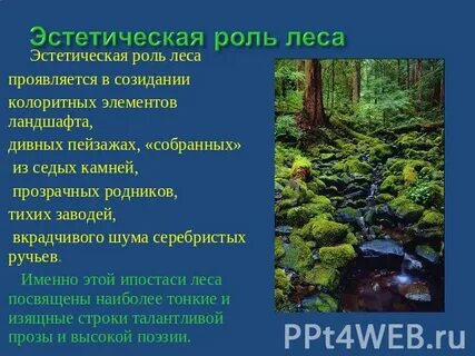 Каким образом лесные