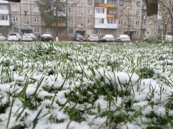 Теплый летний снег. Снег летом. Летний снег в Москве. Снег летом в Москве. Снег в июне.