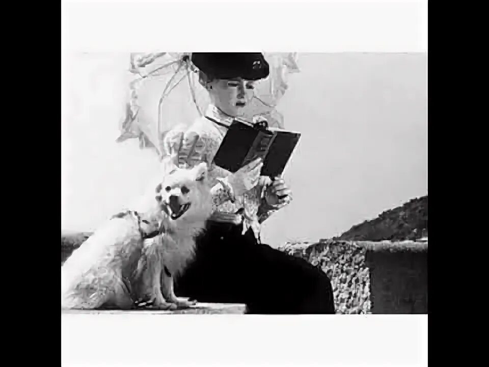 Дама с собачкой. Дама с собачкой чехов собака. Дама с собачкой фотосессия. Дама с собачкой 1960. Дама с собачкой продолжение будет.