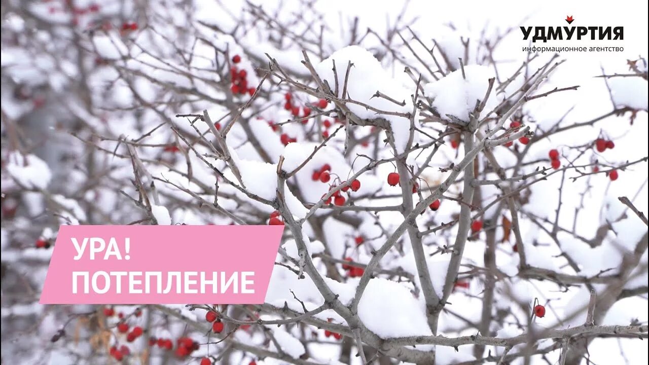Когда начнет теплее. Ура потепление. ура потеплело. ура потеплело картинки. скоро потеплеет.