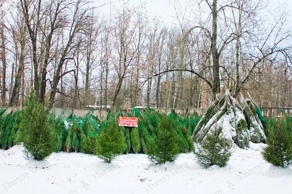 елочный базар парнас. елочный базар фото. ограждение новогодней елки на улице. елочный базар парнас. елочный базар парнас.
