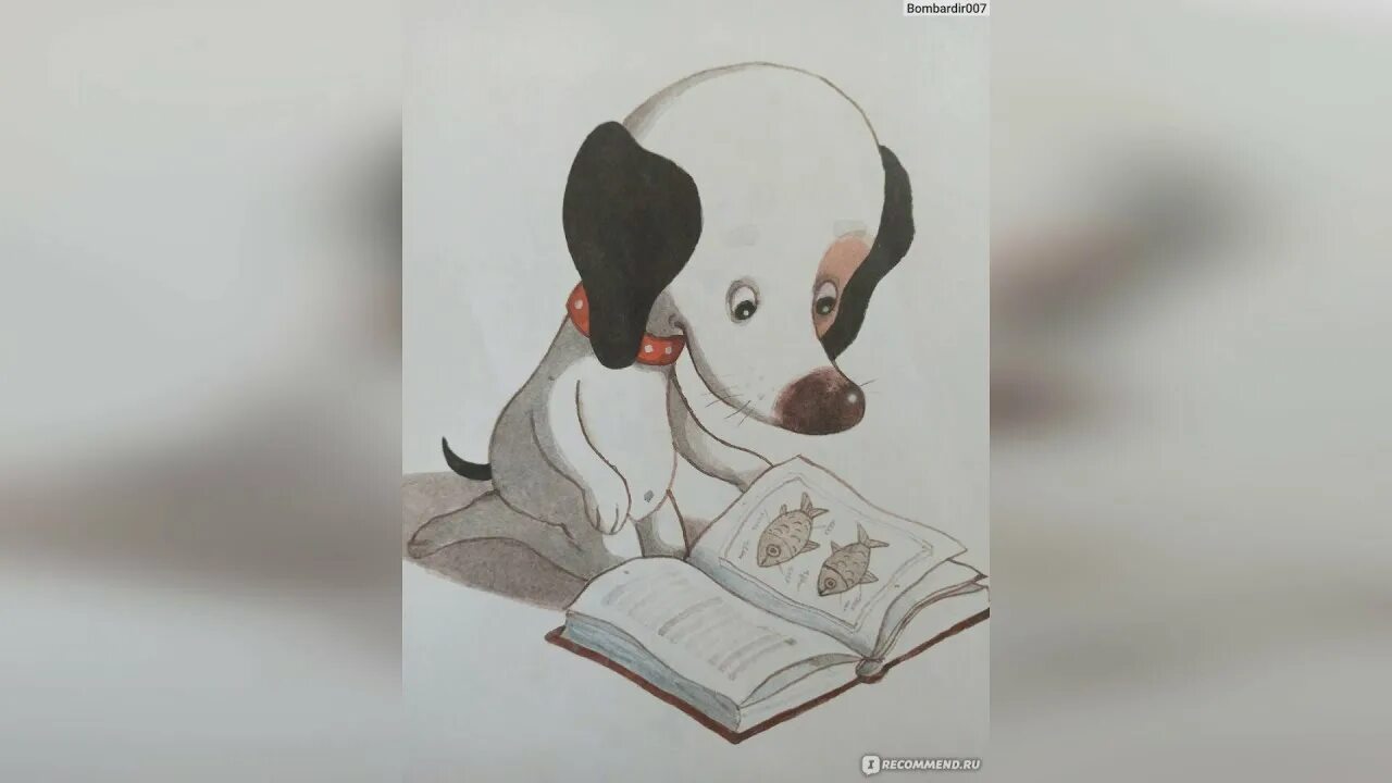 Аудиосказка умная и знаменитая собачка соня. Аудиосказки для детей умная собачка. Сказка умная собачка соня горчица. Умная собачка соня иллюстрации. Умная собачка соня аудиосказка.