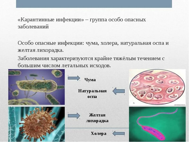 Особо опасные болезни людей. Особо опасные инфекции натуральная оспа. Карантинные инфекции. Особо опасные инфекции ООИ. Особо опасные инфекции холера.