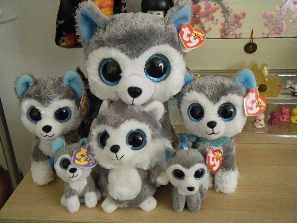 Включи глазастик. Ty Beanie Boos коллекция. Игрушки Глазастики. Глазастики мягкие игрушки. Игрушка Глазастик.