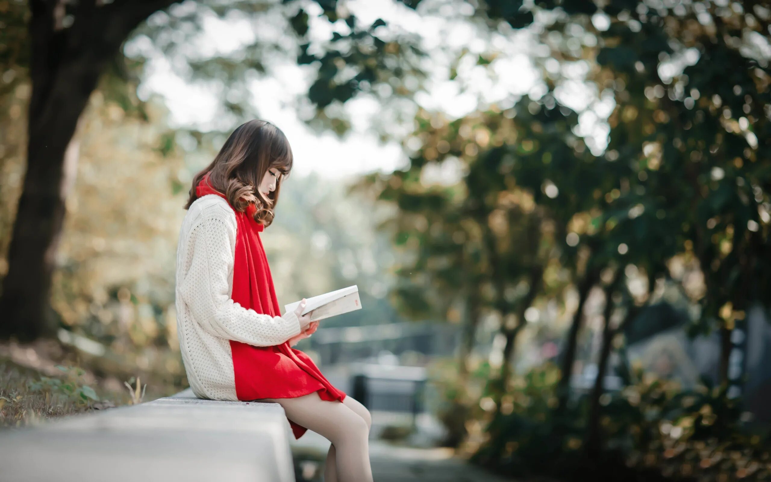 Девушка сидит с книгой. Девушка с книгой. Женские ножки с книжкой. Обои для телефона девушка блондинка читает книгу. Чтение боке.