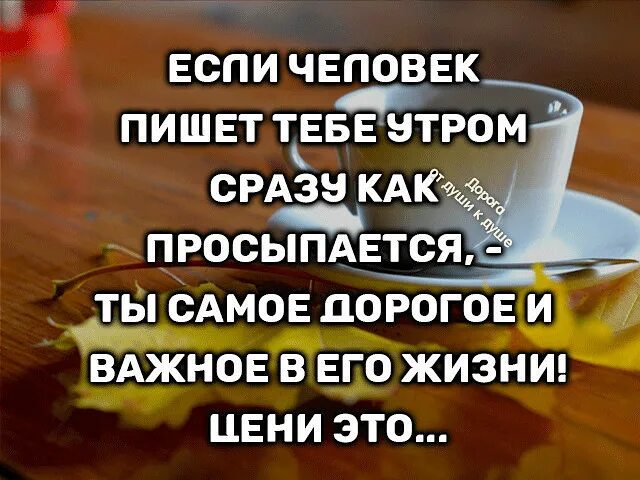 Только увидит нас утром сразу подбежит. Сообщение полученное утром. Каждое утро я думаю о тебе с добрым утром. Доброе утро я думаю о тебе.