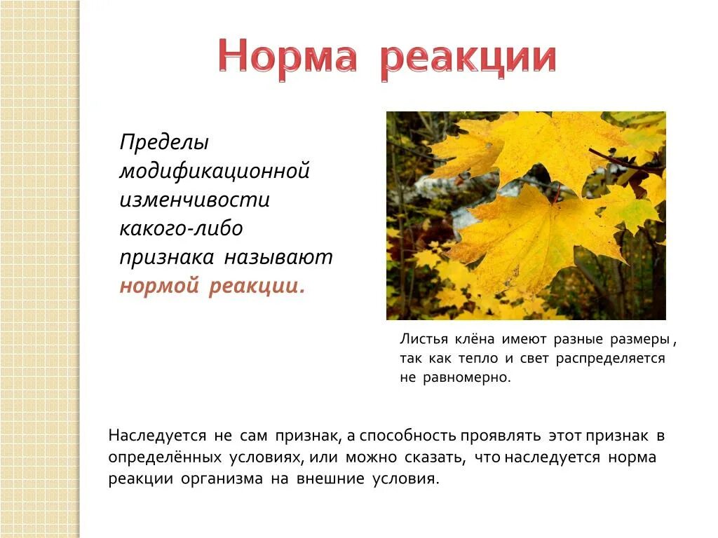 Норма реакции это пределы в которых. Норма реакции пределы модификационной изменчивости. норма реакции при модификационной изменчивости. норма реакции модификационной изменчивости примеры. норма реакции.