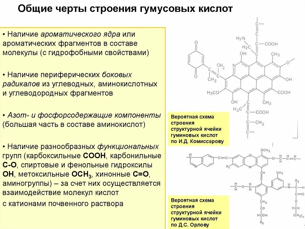 Гидрофобные радикалы повернуты внутрь. Гуминовые и фульвовые кислоты строение. Строение гумусовых кислот. Гуминовые кислоты формула. Строение молекулы гуминовой кислоты.