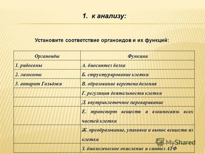 распределите характеристики соответственно органоидам. сравнение строения клеток разных царств таблица. распределите характеристики соответственно органоидам. распределите характеристики клеток. зачёт по теме органоиды клетки 9 класс.