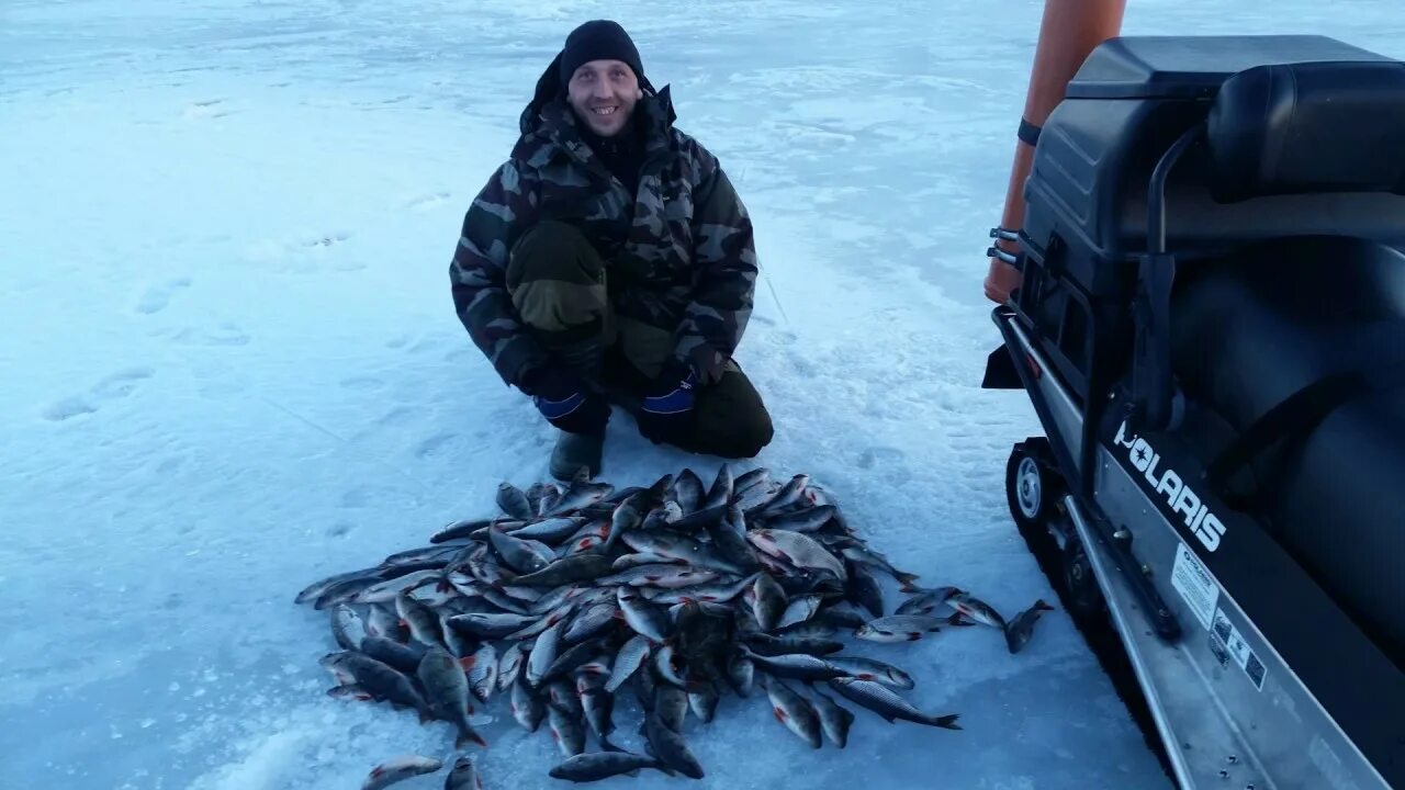 Рыбалка в ленинградской области на ладоге. Зимняя рыбалка на Ладоге. Ладожское озеро зимой рыбалка. Рыбалка на Ладоге зимой. Рыбаки Ладога зимой.