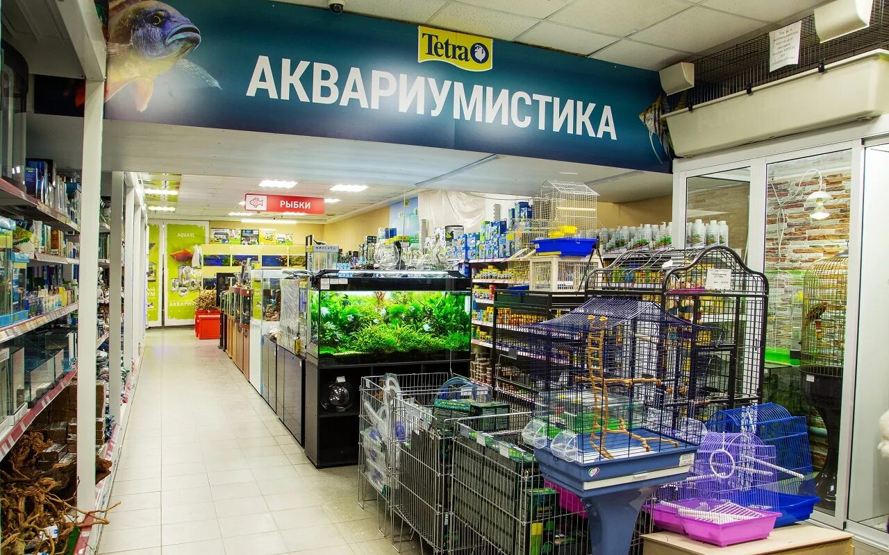 Красный кролик зоомагазин Новосибирск. Красный кролик Cash carry. Зоомагазины в Красном Сулине. Кеша магазин кролик.. Зоомагазин новосибирске интернет магазин