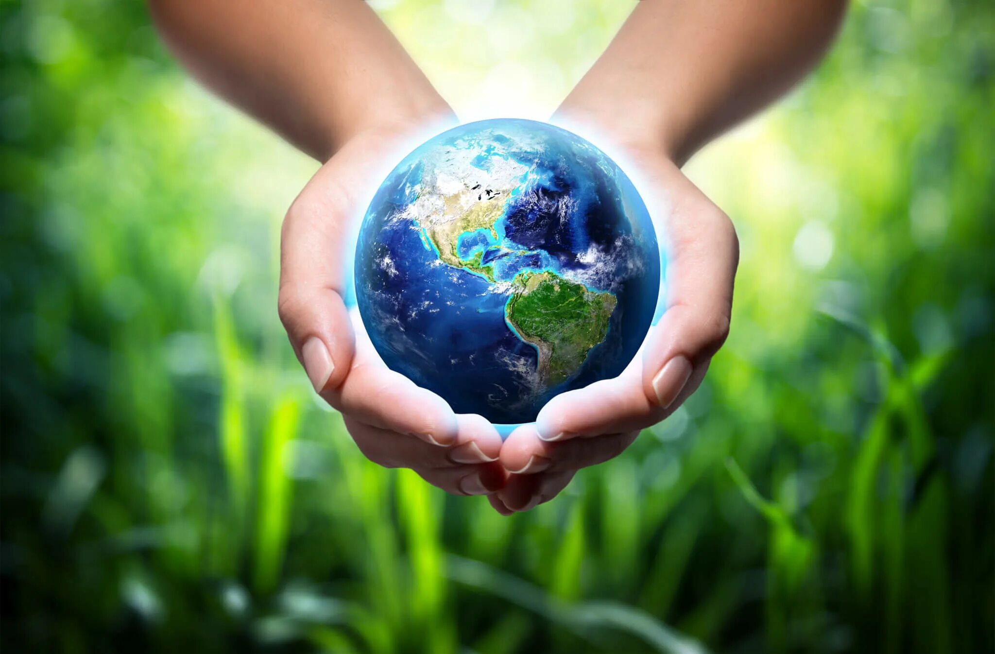 Looking after the environment