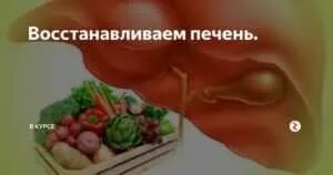 Печень восстанавливается