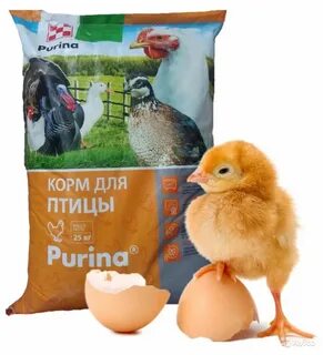 Комбикорма старт пурина
