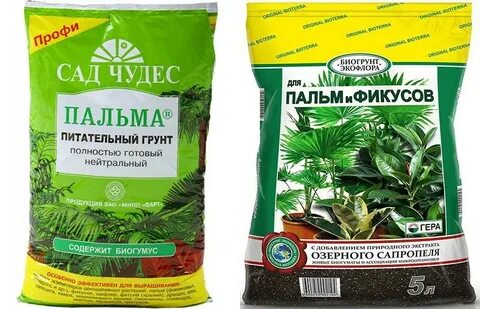 Земля для монстеры