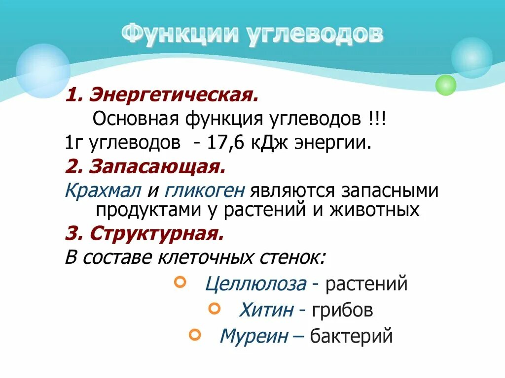 Углеводы их строение и функции в организме. Углеводы и их функции. Главная функция углеводов. Сахароза функции.