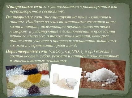 Функции неорганических и органических веществ минеральные соли
