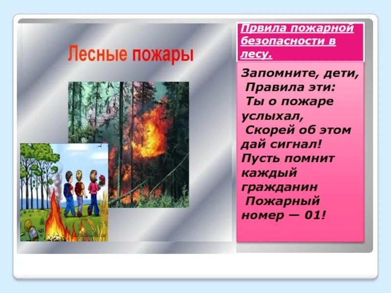 Пожарная безопасность в лесу. Пожарная безопасность лесов. Стих про пожар в лесу для детей. Пожары в лесах памятка. Слова берегите лес