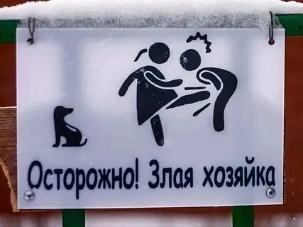 Хохма 5