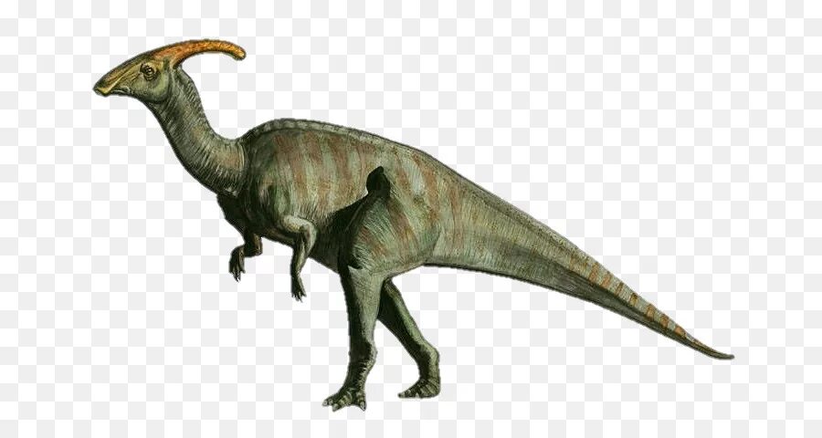 Паразауролоф доисторический парк. Паразауролоф (Parasaurolophus). Брахиозавр Паразауролоф Стегозавр Анкилозавр. Зауролоф и Паразауролоф. Динозавр с рогом на голове
