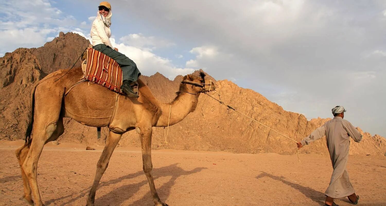 Пустыня ездить. Бедуины Саффари. Бедуины в пустыне Египта. Шарм-Эль-Шейх бедуины. Бедуины в Пакистане.