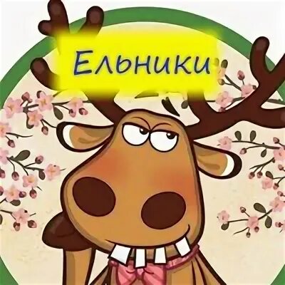 Подслушано в ельниках в контакте