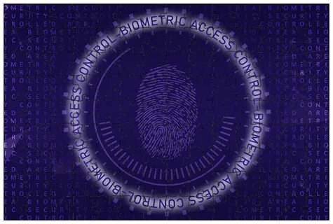 Биометрия ебс