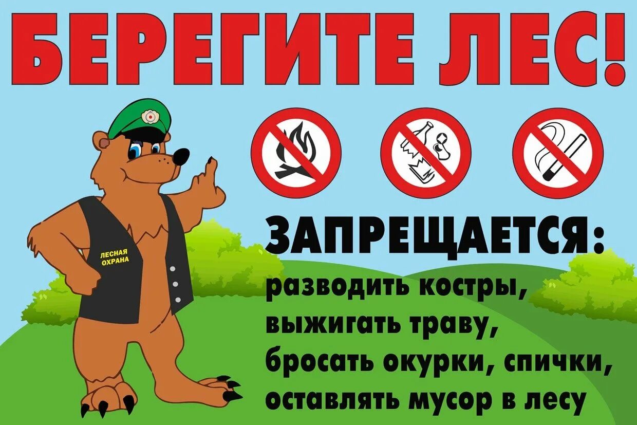Берегите природу леса. Берегите лес. противопожарные аншлаги в лесу. противопожарные плакаты в лесу. противопожарная безопасность в лесу - аншлаги.