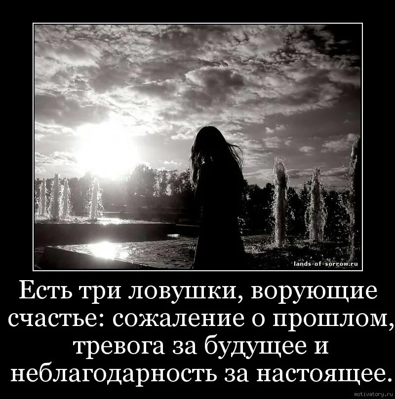 Сожилению или сожалению